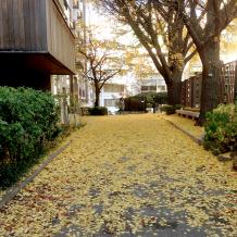 가을에 걷고 싶은 길! 