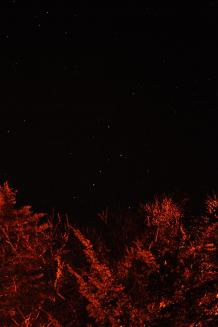 [폴라리스] 11월 29일 수시 관측회-카시오페이아
